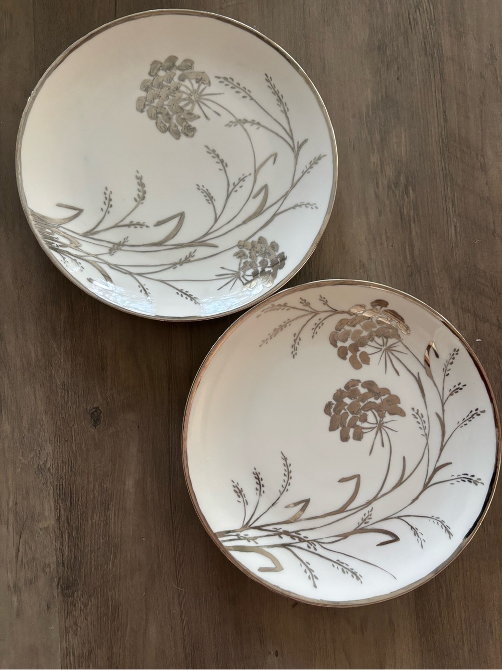 German Porcelain plates by Hutschenreuther Selb Bavaria- Set of 2